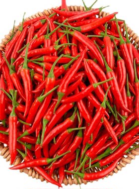 小米辣椒新鲜现摘特辣红辣椒蔬菜