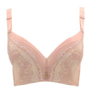 爱戴专柜蕾丝深V中厚有钢圈BC杯聚拢调整型文胸收副乳防下垂内衣