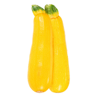 香蕉西葫芦种子水果型茭瓜种孑角瓜黄金四季盆栽阳台南瓜蔬菜种籽