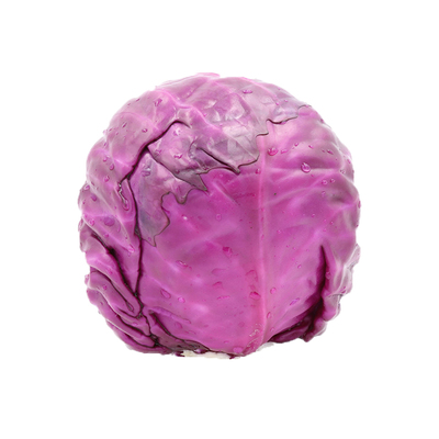 新鲜紫甘蓝西餐蔬菜沙拉食材