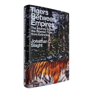 【现货】英文原版 帝国之间的老虎：拯救西伯利亚虎灭绝的旅程 Tigers Between Empires Jonathan C. Slaght 乔纳森·斯拉特