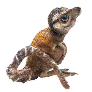 PNSO恐龙大王成长陪伴模型26幼年霸王龙亚伦儿童益智手办正品