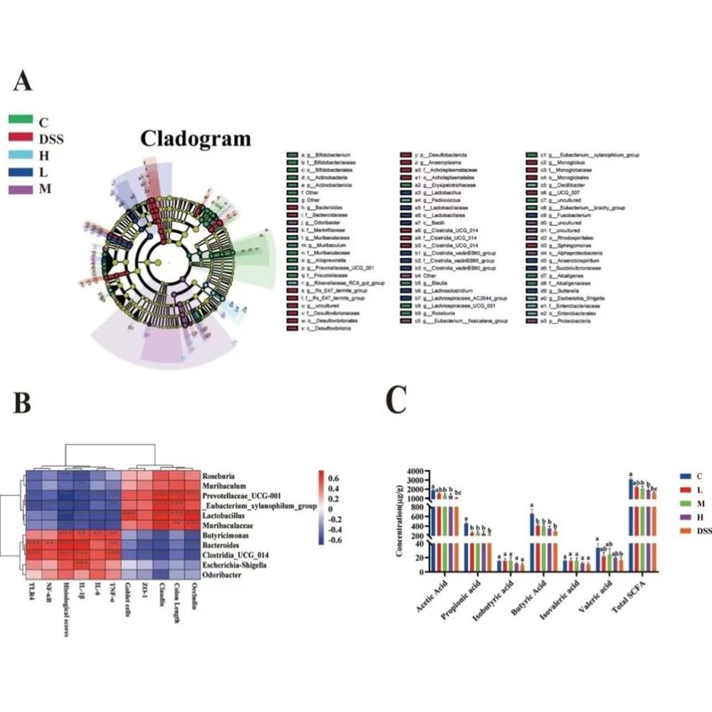 生信分析分子对接转录组网络理学孟德尔随机化TCGA GEO数据库