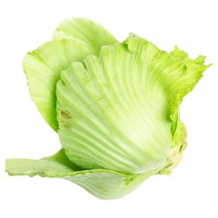 包心芥菜种子孑大肉水东甜芥菜广东泡菜四季蔬菜包心芥菜种籽介菜