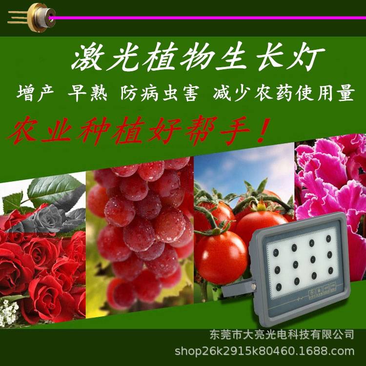 全光谱激光镭射植物生长灯LED花卉灯蔬菜瓜果补光灯激光植物灯