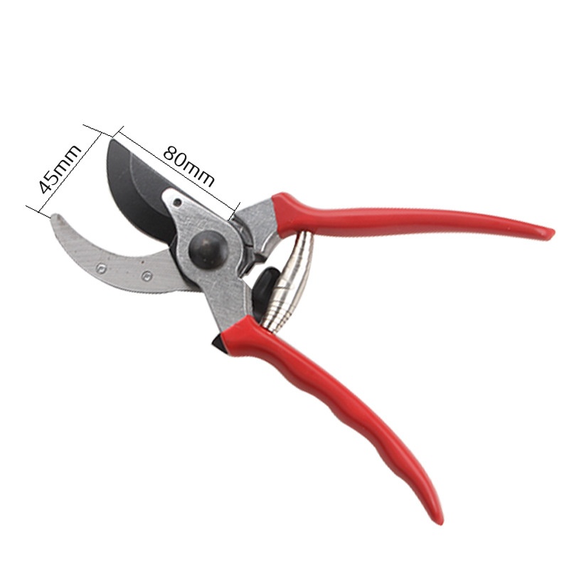 剪枝果树修枝剪刀园艺园林剪刀花剪神器剪花枝剪枝强力剪子家用修