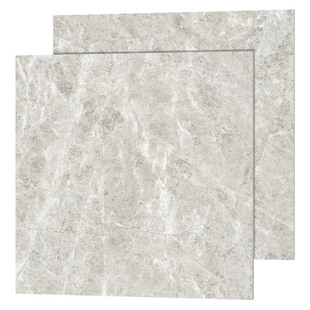 宏宇瓷砖客厅800x800地砖莫兰迪色防滑地板砖 广东银龙灰HPG80174