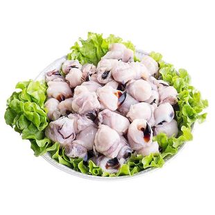 新鲜墨鱼嘴冷冻鱿鱼嘴特大号章鱼乌贼目鱼嘴牙齿海鲜烧烤商用食材