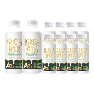悦鲜活鲜牛奶A2型450ml*2瓶+260ml*8瓶学生儿童营养早餐奶低温奶