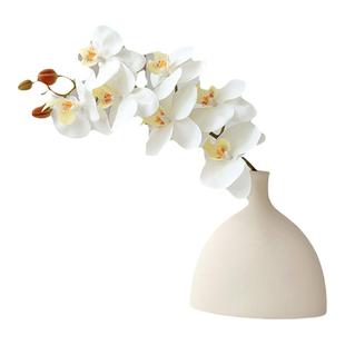 ins拍照道具小物件谷美装饰蛋糕美甲美妆桌拍网红拍照区布置产品高级氛围感摆拍仿真花道具书直播摄影周边