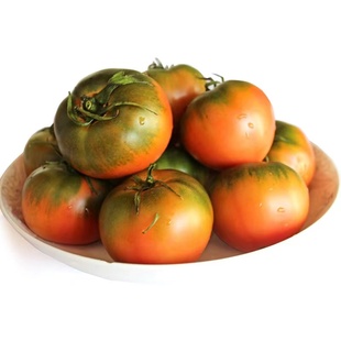 正宗丹东铁皮西红柿草莓番茄新鲜自然熟盘锦碱地生吃东北绿腚水果