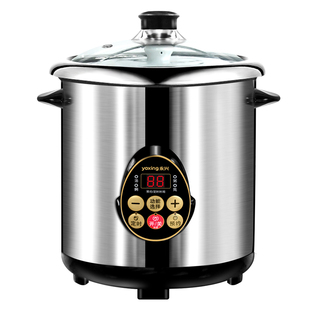永兴电炖锅304不锈钢隔水炖盅电炖汤煲多功能定时预约全自动煮粥
