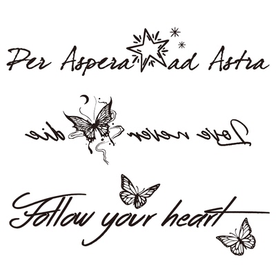 她画超美蝴蝶英文草本纹身贴3张