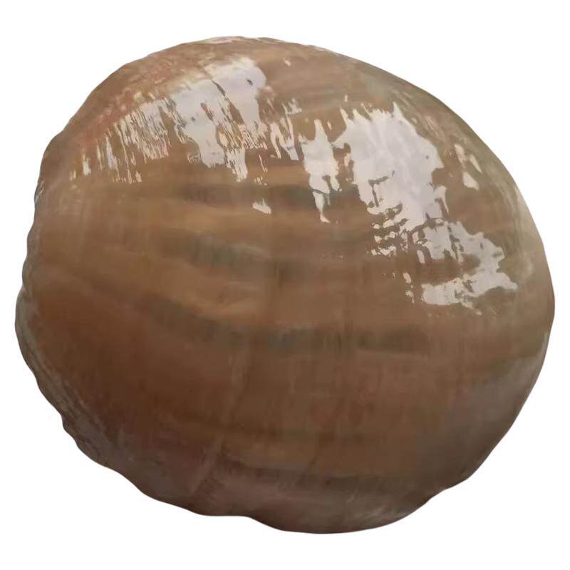 【批发价格】野生沙蒜商用烹饪