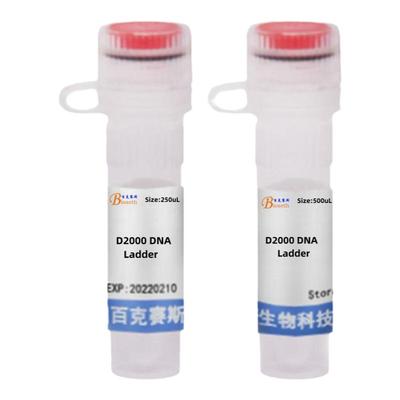 D2000 DNA Ladder 分子生物学试剂 实验科研用试剂