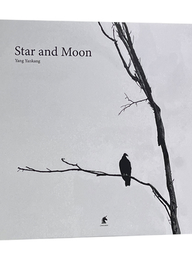 简约现代黑白灰中英文摄影艺术家风景纪实摄影样板房摆件书