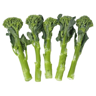 先正达进口婉翠2号西兰松花青花菜种子松花青花菜籽蔬菜春秋季苔