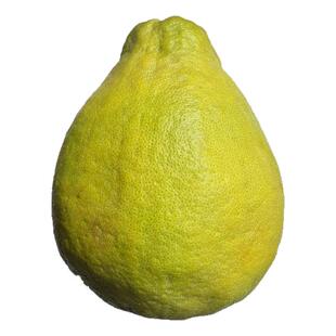 现货广西特产正宗容县沙田柚纯甜老树柚水果多省包邮8~9个礼盒