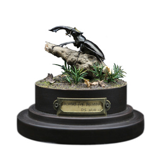 【隐入深山】昆虫微景观玻璃罩佛瑞深山锹甲标本植物干花摆件礼物