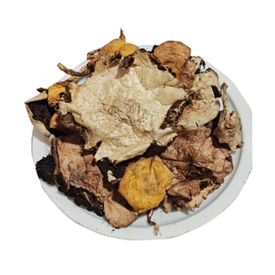 坝上黑里子蘑菇草蘑野生黑草蘑干货莜面卤食材爆炒火锅菌干新货