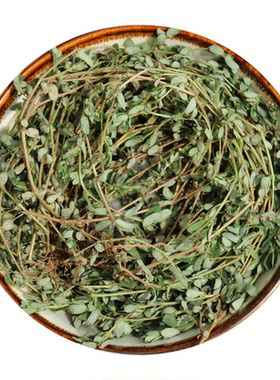 新鲜野生天然地锦草现挖现发
