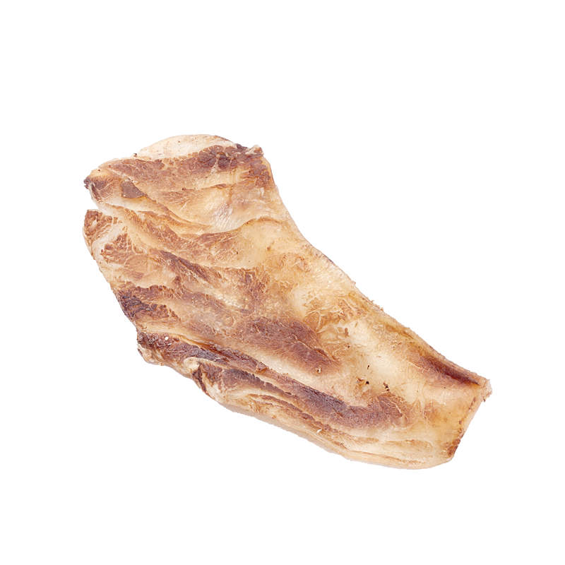 coma整片萨摩耶软骨头宠物狗狗