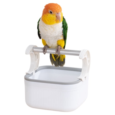 鹦鹉站架定点排便站台