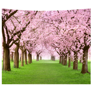 现代简约富士山墙面装饰超大背景布客厅沙发卧室墙壁挂毯床头挂布