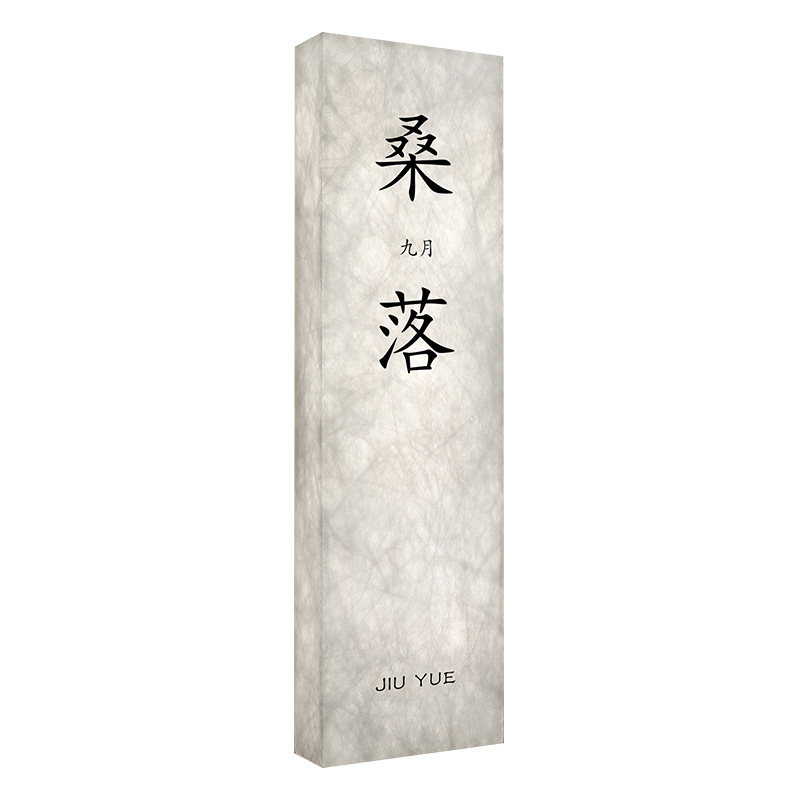 【热销款】杜邦纸发光包厢门牌