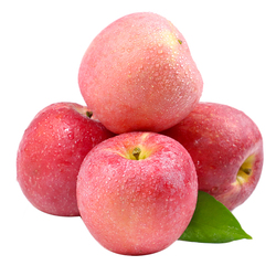 下拉16！正宗脆甜红富士苹果5斤