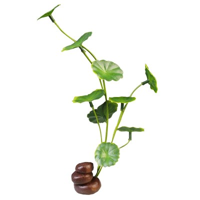 刺身摆盘装饰花草日料点缀