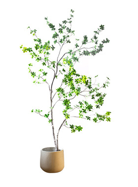 Na家花房北欧仿真绿植摆件日本