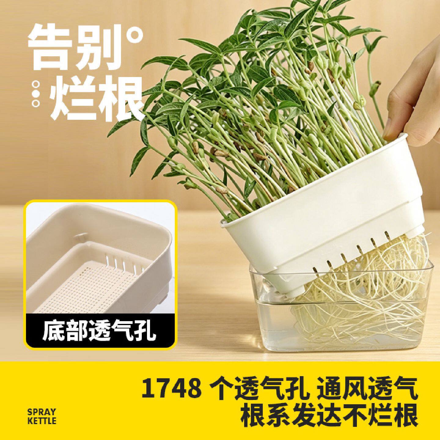 水培器皿透明花盆长方形盆栽猫草豆芽种植盆绿萝容器植物定植篮