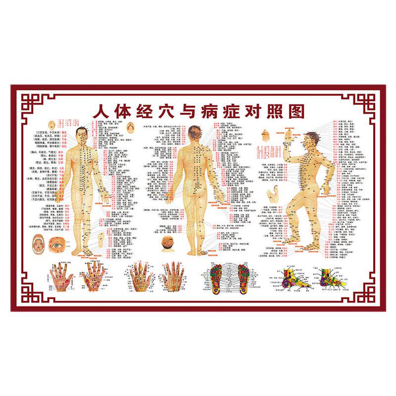 人体经络穴位图标准大挂图全身高清中医养生海报艾灸推拿挂画针灸