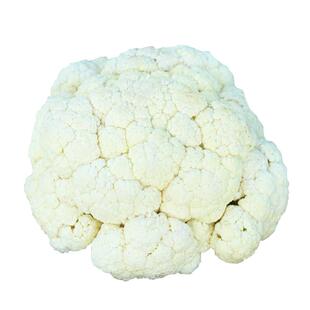 花菜种子秧苗秋季蔬菜苗秧适合冬天种的菜冬季菜种四季种籽孑大全