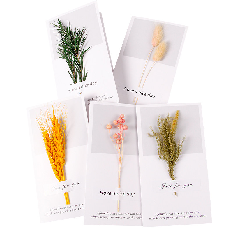 教师节活动贺卡diy高级感生日礼物创意干花小礼品森系卡片伴手礼