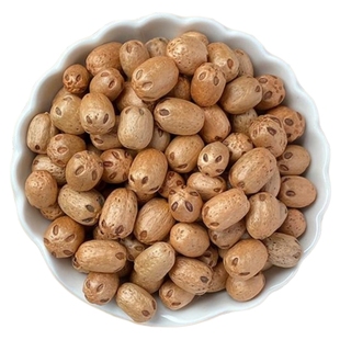 五眼六通天然菩提子原籽散珠打孔手工diy文玩手串挂件吊坠半成品