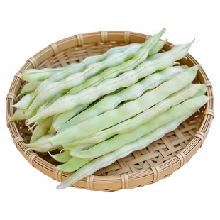 燎原绿色白芸豆新鲜当季蔬菜白不老芸豆四季豆架豆王老来少山东