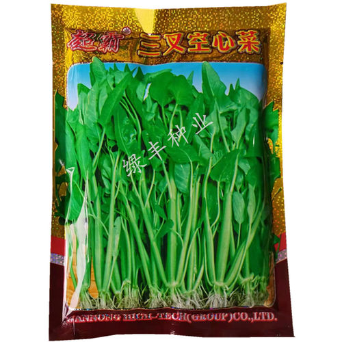 超霸 三叉空心菜种子 三梗空心菜蕹菜通菜良种春夏秋冬季蔬菜种孑