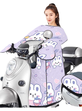 电动车挡风被2024夏季新款亲子款
