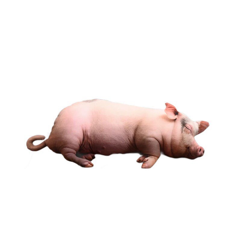 网红款可爱仿真猪抱枕!