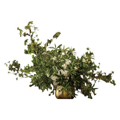 空间装点样板间氛围花艺桌面装饰