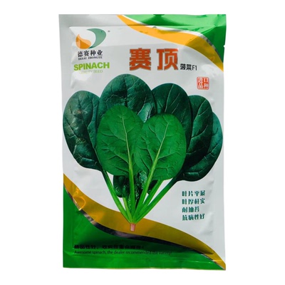 德赛赛顶菠菜种子进口抗霜霉病直立捆扎速生耐寒越冬大叶菠菜种籽