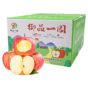 陕西洛川苹果红富士水果当季丑冰糖心丑整箱新鲜水果酥脆新鲜采摘