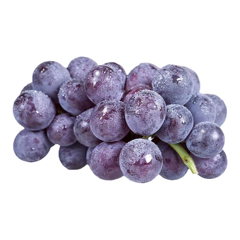 巨峰葡萄树苗矮化蜜甜无籽葡萄苗