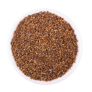 散装药材夏枯球种子2024纯新夏枯草籽种四季播种干净无杂