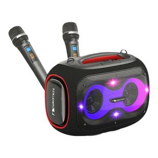 Nakamichi中道家用户外K歌蓝牙音箱音响带无线麦克风大功率可串联