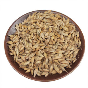 麦芽中药材新货炒麦芽茶回奶生麦芽山楂神曲焦山仙500克