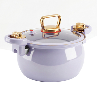 荣事达微压锅炖汤盅汤锅珐琅锅家用焖烧锅搪瓷锅电磁炉燃气煮汤桶