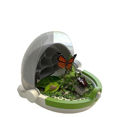 给孩子实用养蚕舱观察蚕的一生